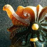 Borneo rav